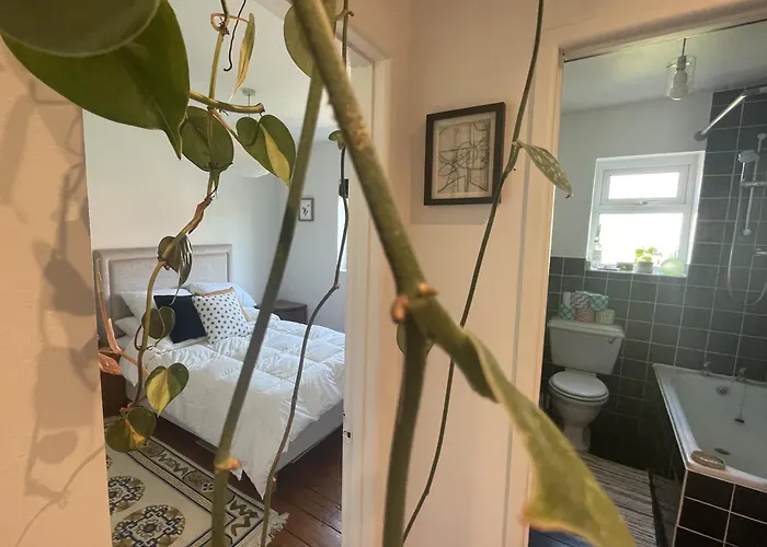 Comfortable Escape In Vibrant Easton * Bristol